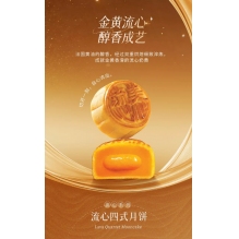 香港美心流心四式月饼礼盒流心奶黄蛋黄流沙巧克力港式中秋月饼